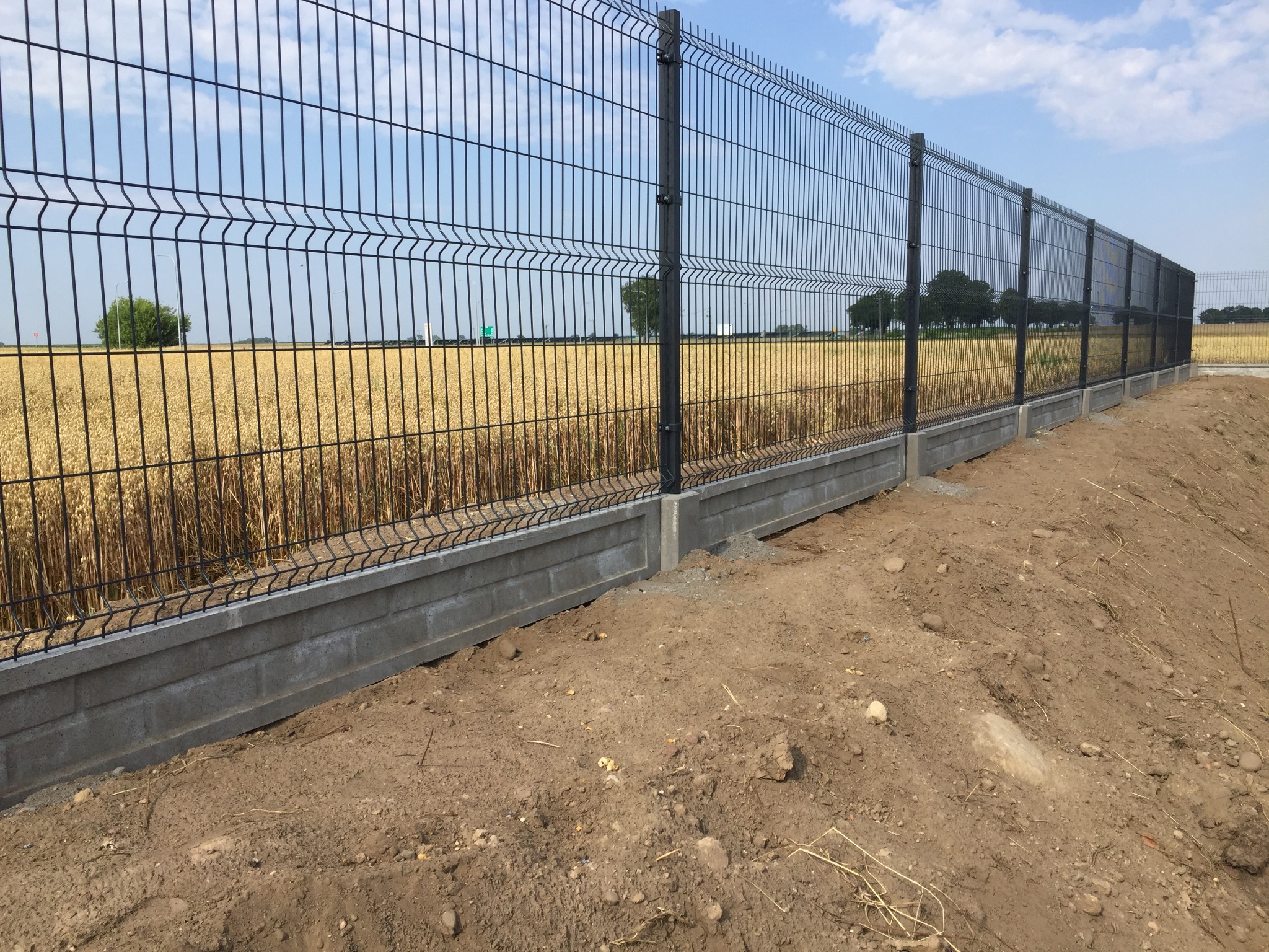 Długie ogrodzenie panelowe z czarnych paneli na betonowej podmurówce, za ogrodzeniem pole zboża i drzewa, widoczne niebo z chmurami.