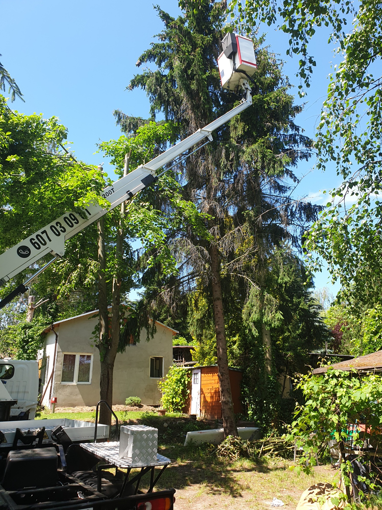Biały podnośnik koszowy z wysięgnikiem sięga do korony wysokiej sosny, w tle zabudowania działkowe i błękitne niebo.