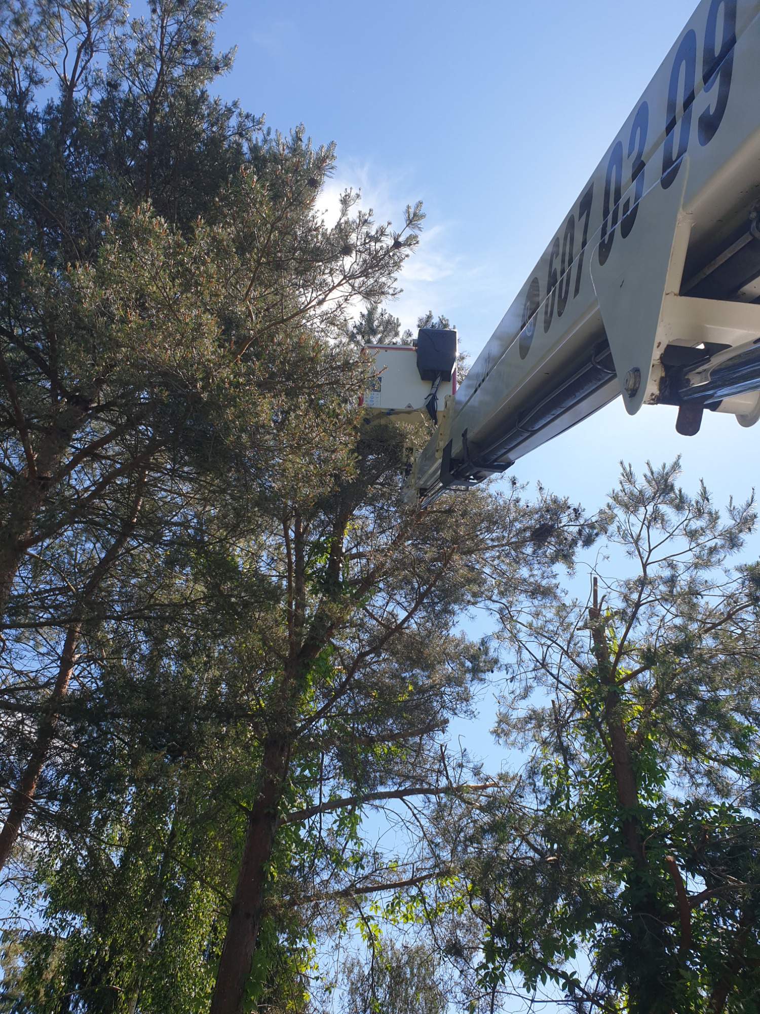 Biały wysięgnik z numerem telefonu na tle drzew i błękitnego nieba podczas prac pielęgnacyjnych w zieleni miejskiej.