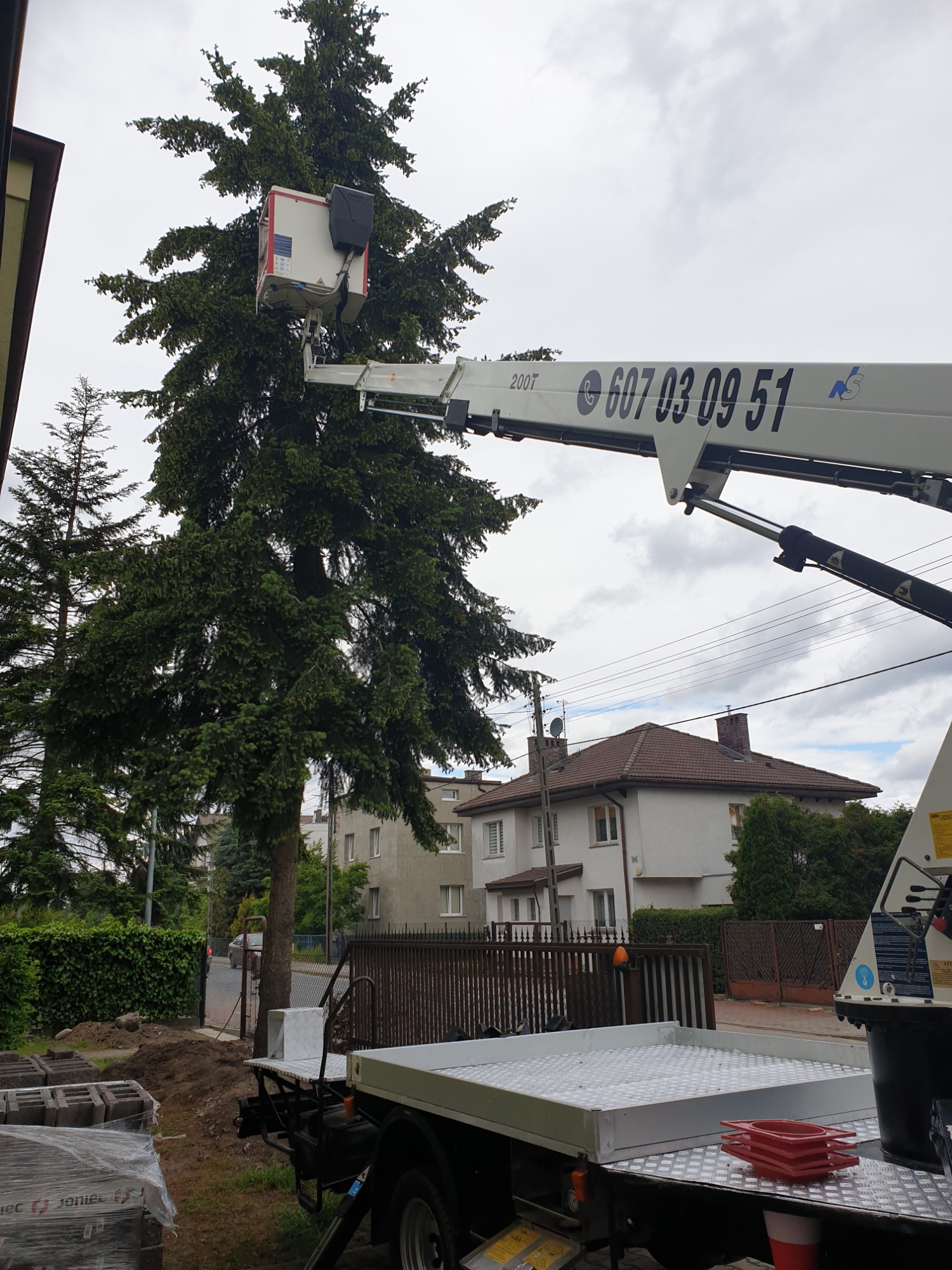 Prace pielęgnacyjne wysokiej sosny przy użyciu platformy roboczej na ramieniu z numerem telefonu, na tle budynku mieszkalnego i pochmurnego nieba.