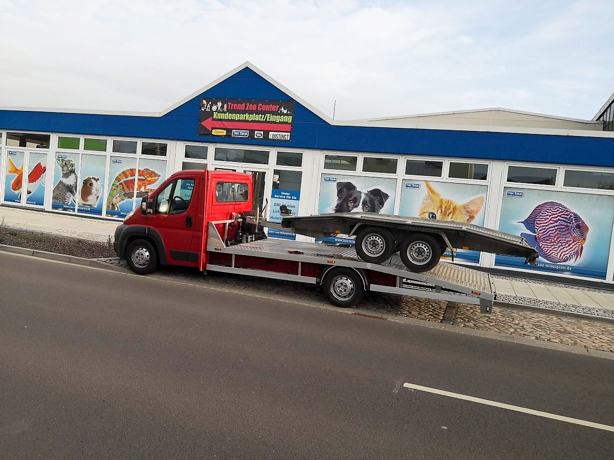 Czerwony pojazd z platformą do transportu przyczep stoi zaparkowany przed budynkiem Trend Zoo Center z dużymi oknami ozdobionymi wizerunkami zwierząt.