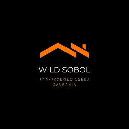 Wild Sobol - Stawianie Ścian Warszawa