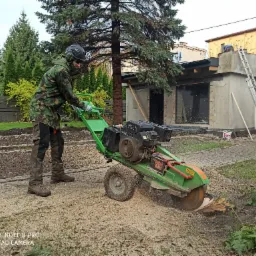 Pracownik w odzieży roboczej obsługuje frezarkę do pni na tle ogrodu z drzewami iglastymi oraz budynku w trakcie remontu, z widoczną drabiną opartą o ścianę.