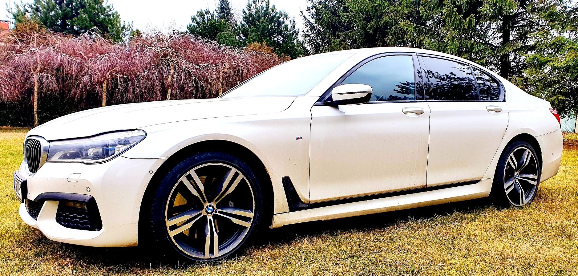 Białe, lekko zabrudzone BMW 7 zaparkowane na trawie, z widocznymi detalami felg i logo BMW, na tle drzew.