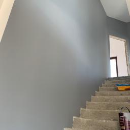 Grafixbud Ilya Karshunou - Świeżo pomalowana szara ściana klatki schodowej z surowymi betonowymi schodami, widoczne narzędzia malarskie i otwarte drzwi do pokoju.