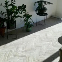 Jasne, ułożone we wzór jodełki płytki podłogowe w pokoju z trzema roślinami doniczkowymi i widocznym fragmentem sofy, oświetlone popołudniowym słońcem.