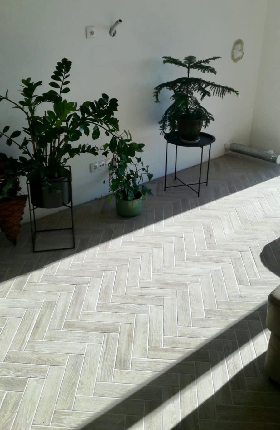 Jasne, ułożone we wzór jodełki płytki podłogowe w pokoju z trzema roślinami doniczkowymi i widocznym fragmentem sofy, oświetlone popołudniowym słońcem.