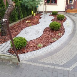 Dany Garden - Kaskadowy ogród przed domem z korą, żwirem i kulistymi krzewami, widoczne także drzewa iglaste i kostka brukowa.