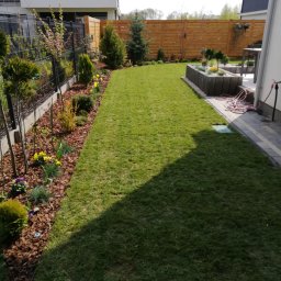 Dany Garden - Zadbany trawnik w ogrodzie w Warszawie, z równo przystrzyżoną trawą, rabatami kwiatowymi z korą i młodymi drzewkami wzdłuż ogrodzenia.