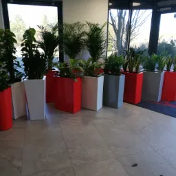 Rząd roślin doniczkowych w kolorowych, geometrycznych donicach (czerwone, białe, szare) ustawionych wzdłuż okna i drzwi wejściowych w jasnym wnętrzu z marmurową podłogą.