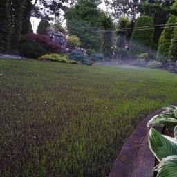 Pielęgnacja ogrodów Warszawa 3