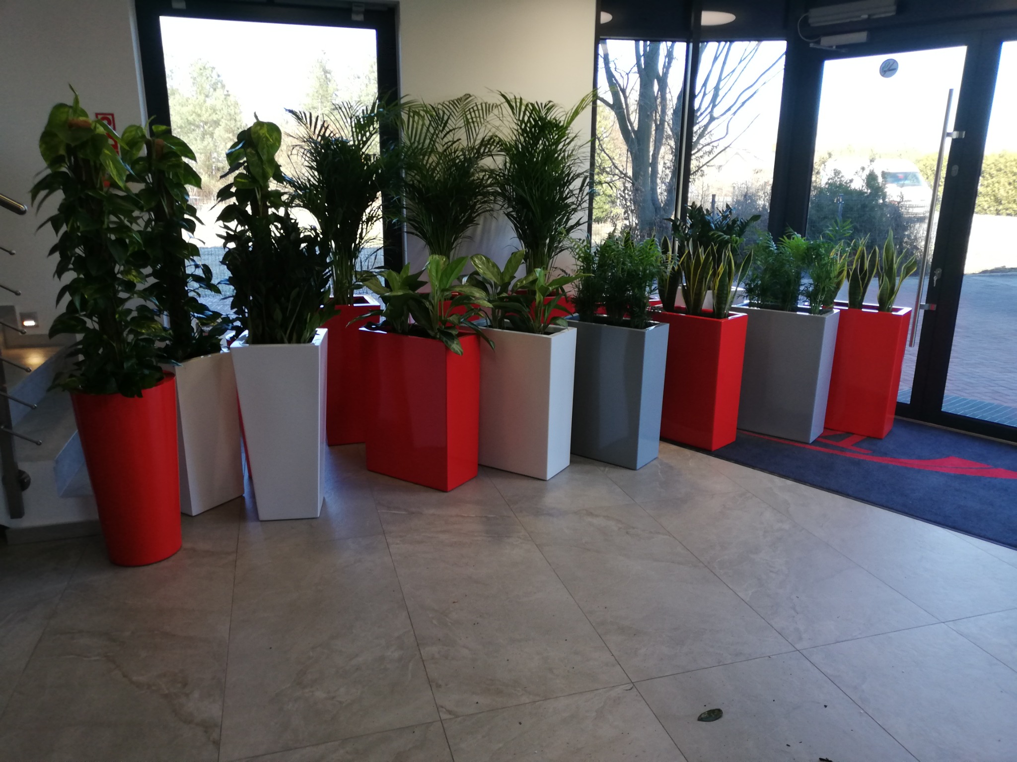 Rząd roślin doniczkowych w kolorowych, geometrycznych donicach (czerwone, białe, szare) ustawionych wzdłuż okna i drzwi wejściowych w jasnym wnętrzu z marmurową podłogą.