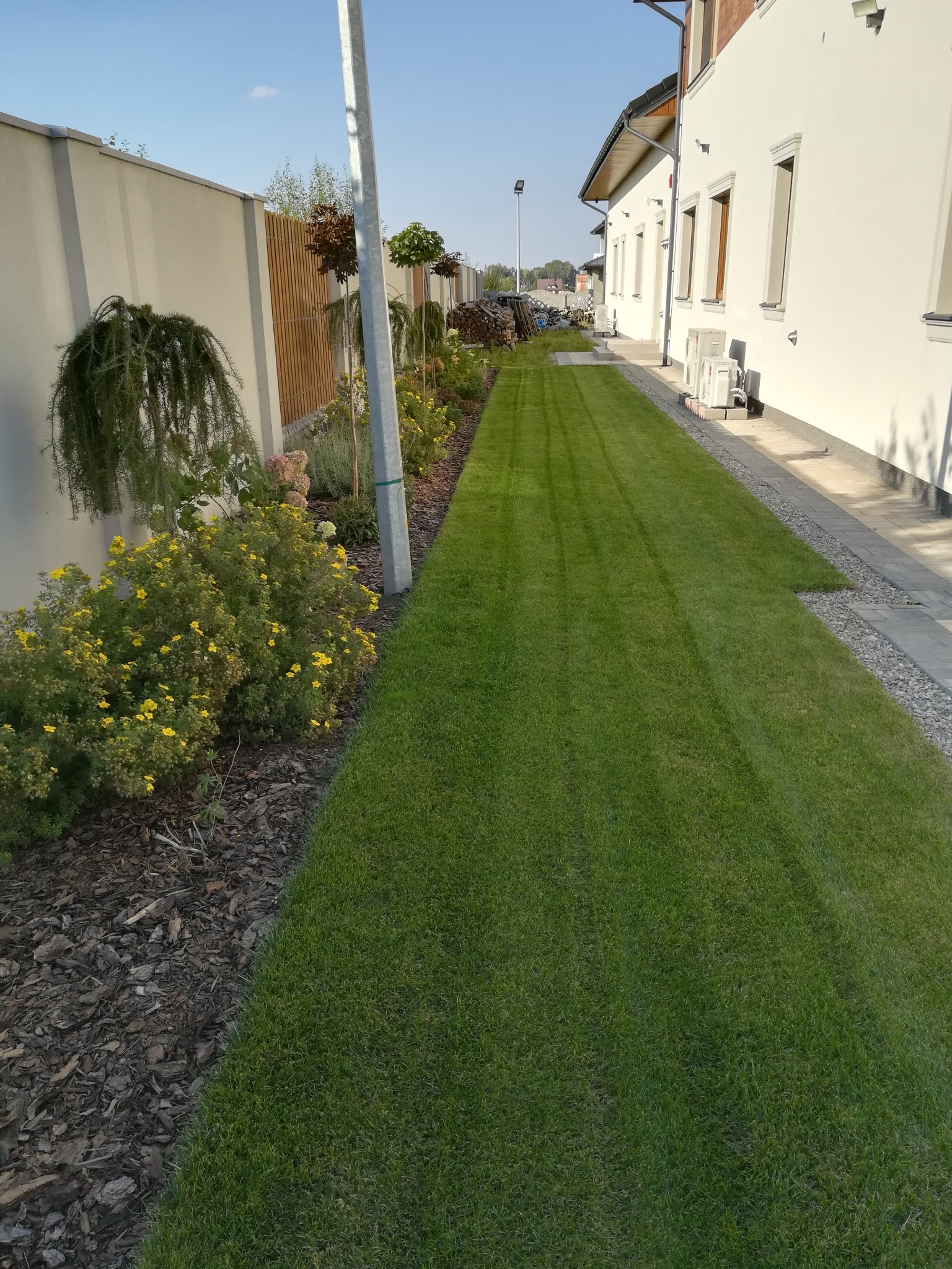 Długi, idealnie przystrzyżony trawnik między jasnym budynkiem a ozdobnym murem z nasadzeniami, widok w perspektywie.