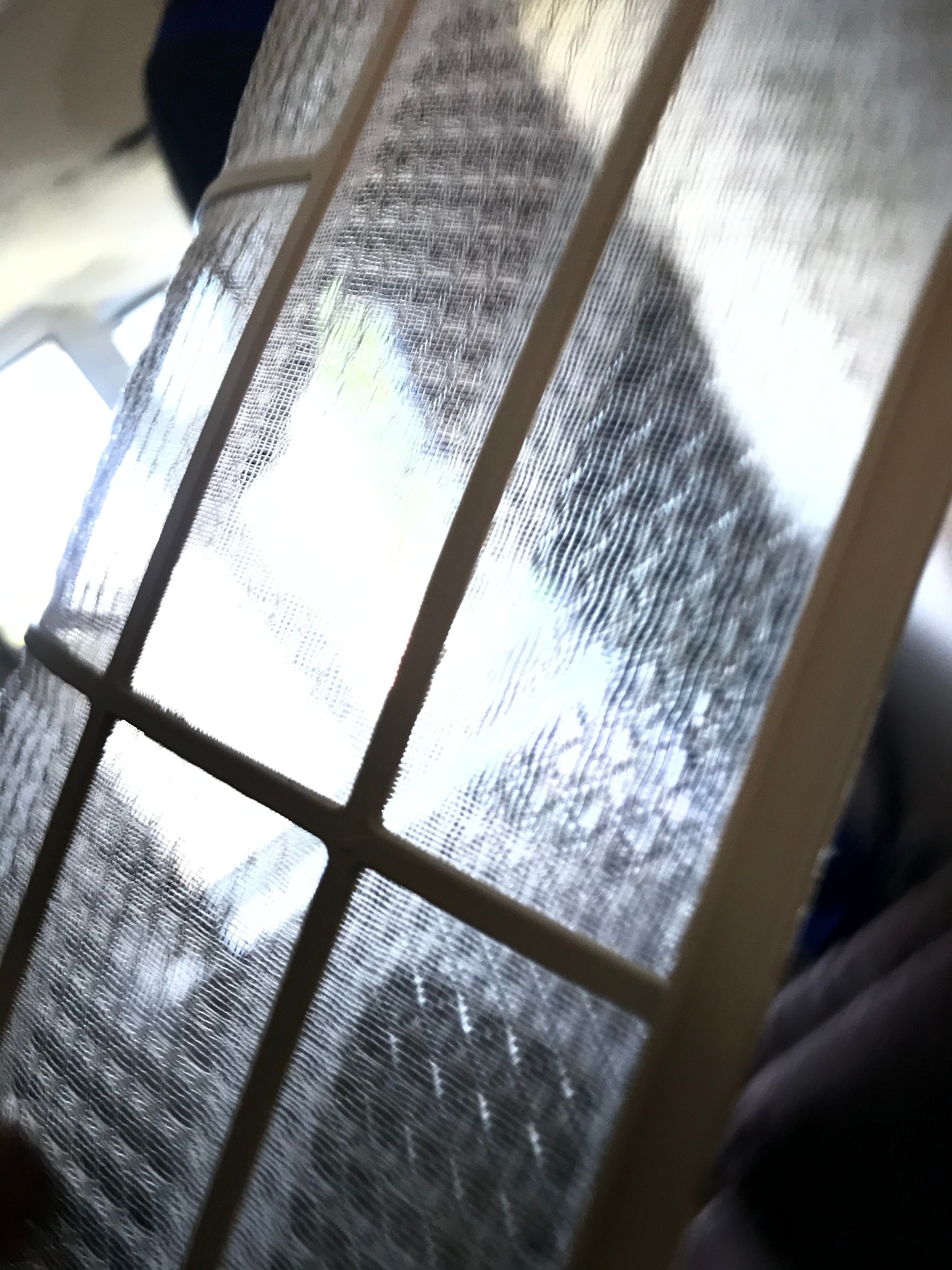 Delikatna siatka filtra powietrza z widocznymi zabrudzeniami, oświetlona od tyłu jasnym światłem, z fragmentem dłoni w dolnym rogu kadru.