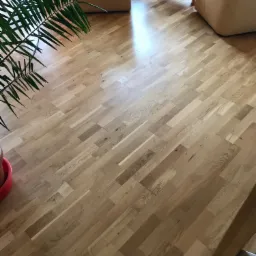 Ułożona podłoga z paneli drewnianych w jasnym odcieniu, widoczne dwa beżowe fotele i roślina doniczkowa z długimi liśćmi w lewym dolnym rogu.