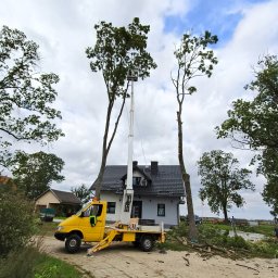 Wycinka drzew Pomieczyno 1