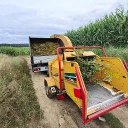 Żółty rębak do gałęzi Vermeer BC190XL z załadowanym na przyczepkę rozdrobnionym materiałem, na polnej drodze obok pola kukurydzy.