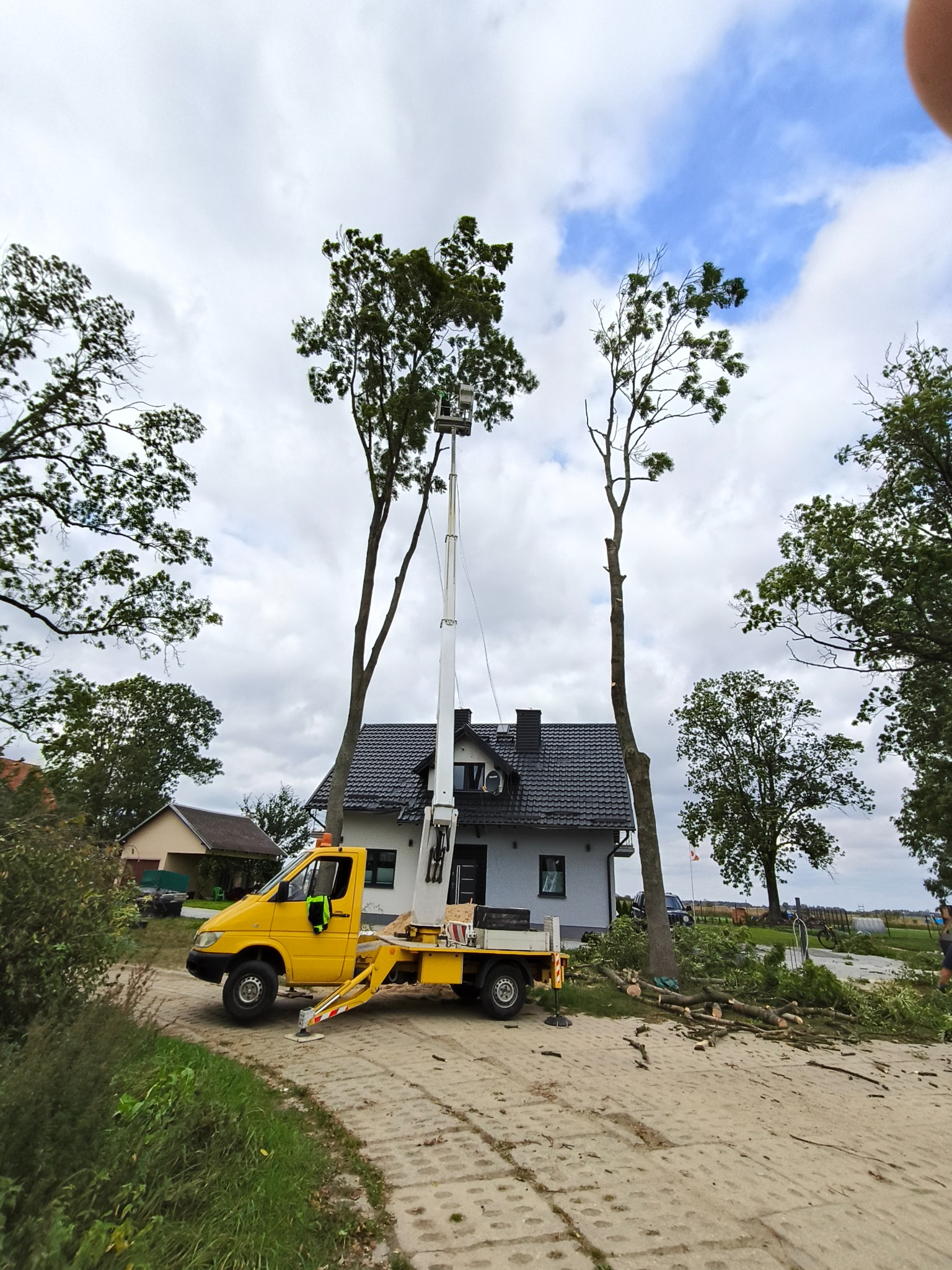 Żółty podnośnik koszowy na tle domu z czarnym dachem, obok częściowo ogołocone drzewo i stos pociętych gałęzi, co sugeruje prace związane z pielęgnacją zieleni.