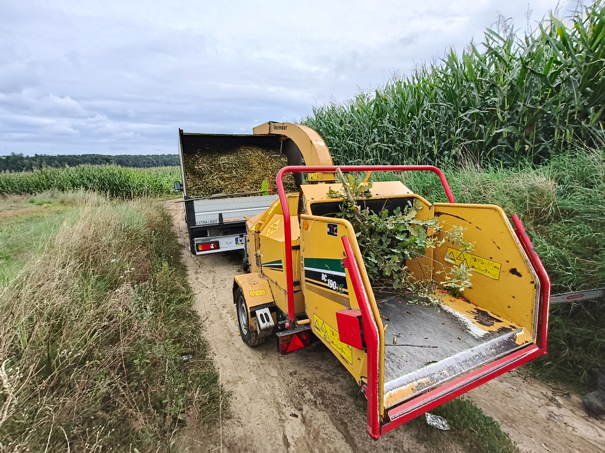 Żółty rębak do gałęzi Vermeer BC190XL z załadowanym na przyczepkę rozdrobnionym materiałem, na polnej drodze obok pola kukurydzy.