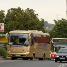 Złoty autobus turystyczny z napisem 'Intertour 2010' na boku, zaparkowany na tle zieleni miejskiej i innych pojazdów, widziany z perspektywy ulicy.
