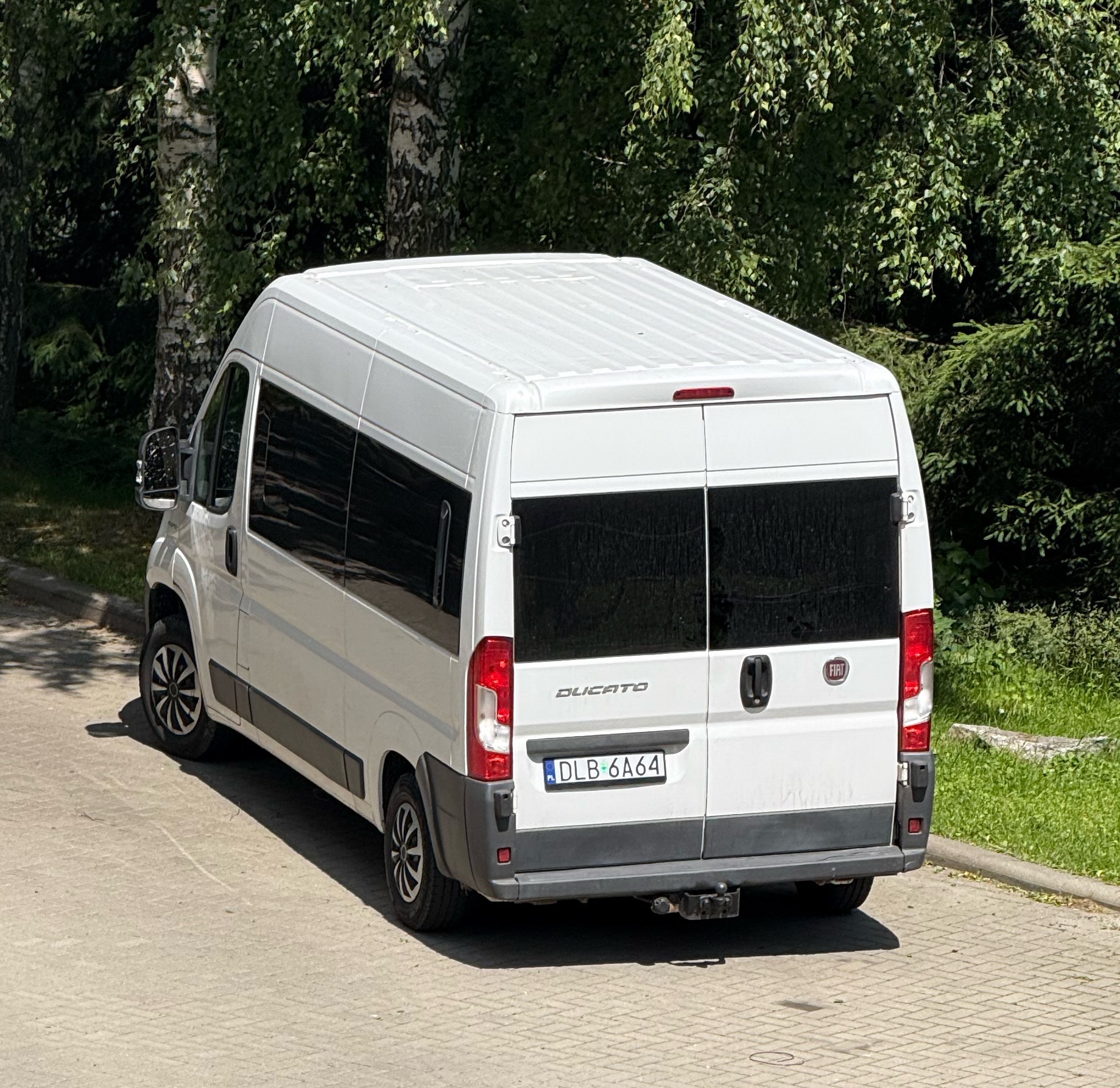 Biały bus Fiat Ducato z przyciemnianymi szybami, zaparkowany na kostce brukowej, widok z tyłu, tablica rejestracyjna DLB 6A64, drzewa w tle.