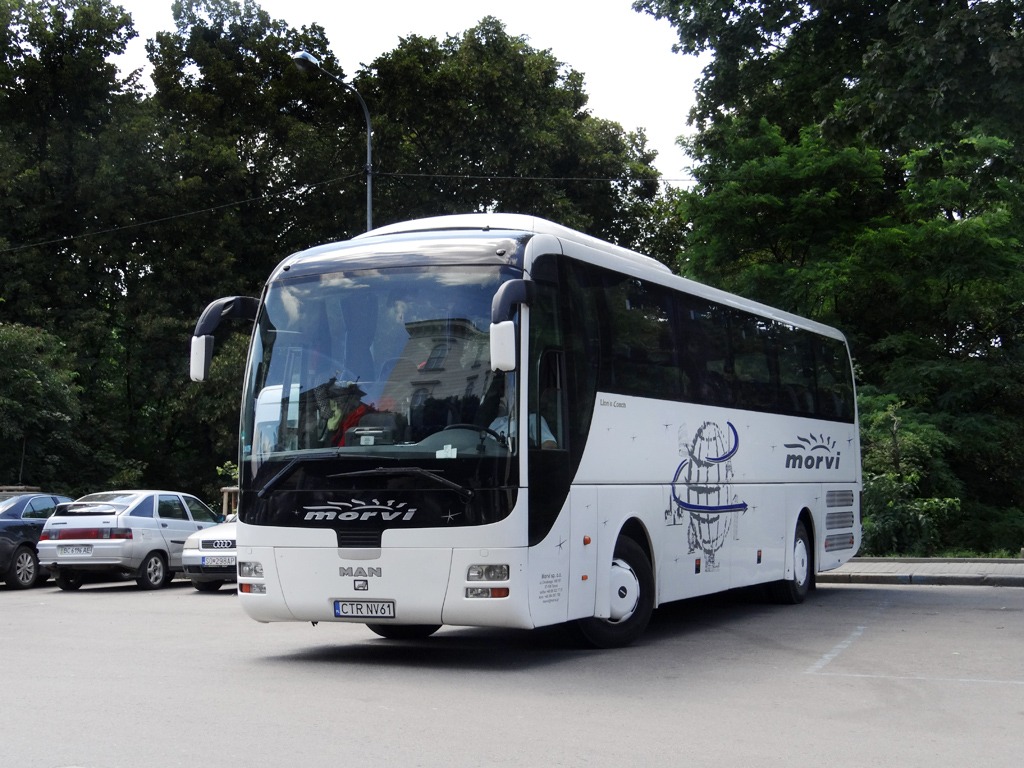 Biały autobus marki MAN z logo 'morvi' na parkingu miejskim, widok z przodu i boku, tablica rejestracyjna CTR NV61.