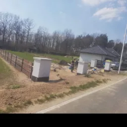 Murrki obrobione. Piekny baranek