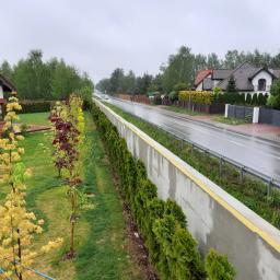 Seb-Bud - Nowo posadzone drzewa różnych gatunków wzdłuż betonowego muru z izolacją w Warszawie, widok na mokrą ulicę i domy w tle w pochmurny dzień.