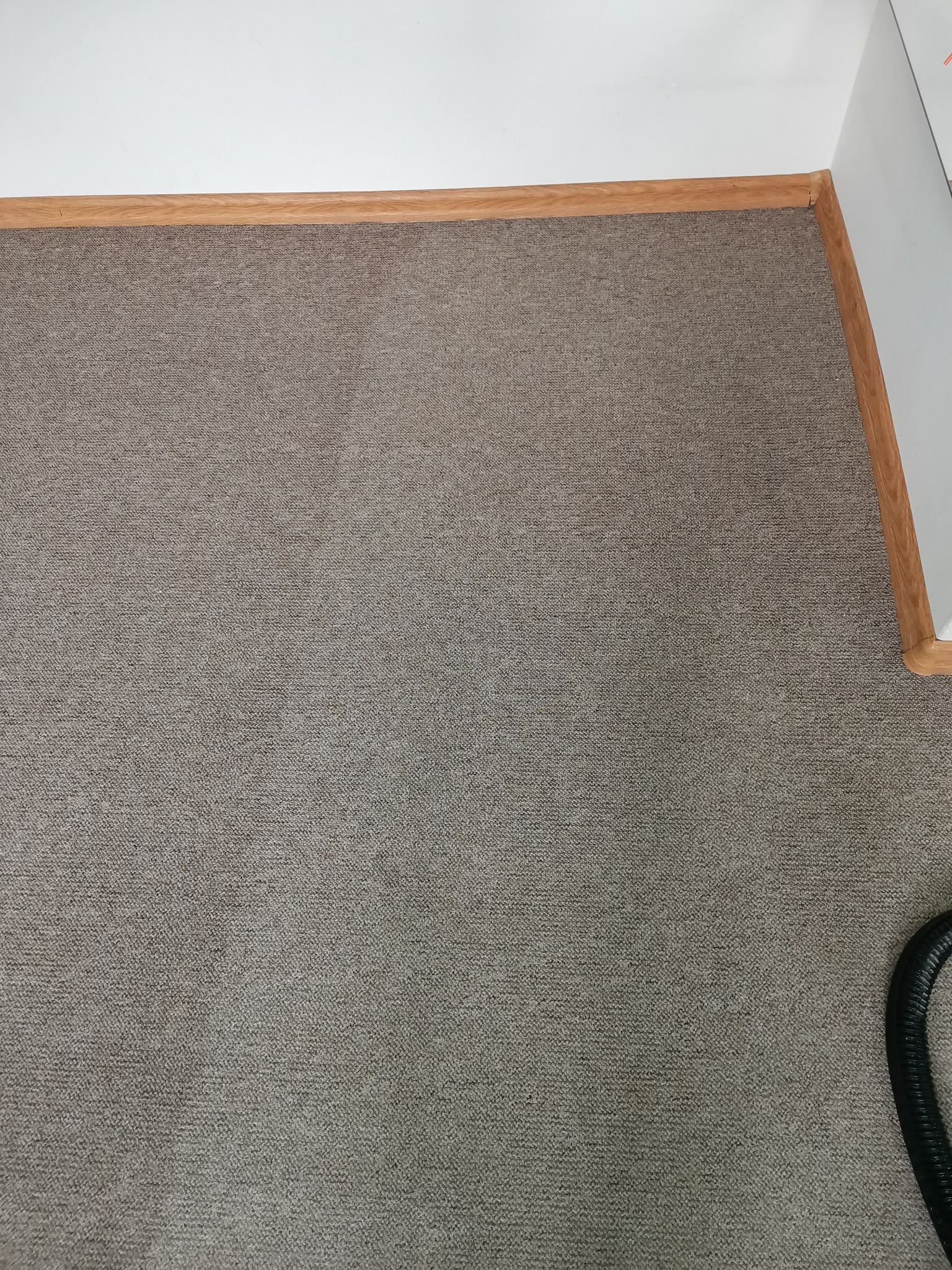 Fragment brązowego dywanu z widoczną różnicą w odcieniu po czyszczeniu, przy krawędzi widoczna listwa przypodłogowa i fragment węża odkurzacza.