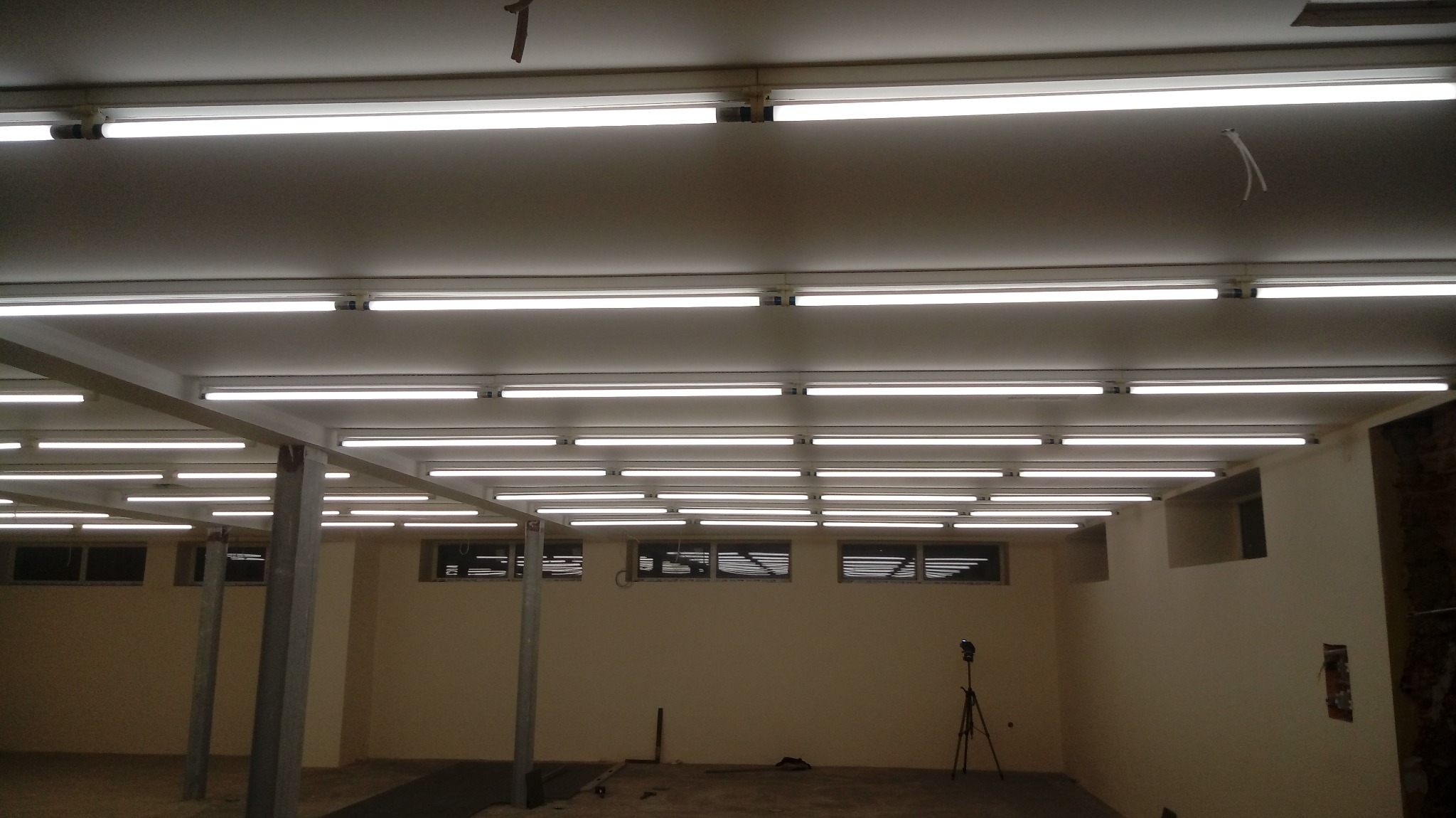 Równomiernie rozmieszczone świetlówki LED oświetlają sufit w pomieszczeniu w Głogowie Małopolskim, z widocznymi oknami pod sufitem i metalowymi słupami konstrukcyjnymi.
