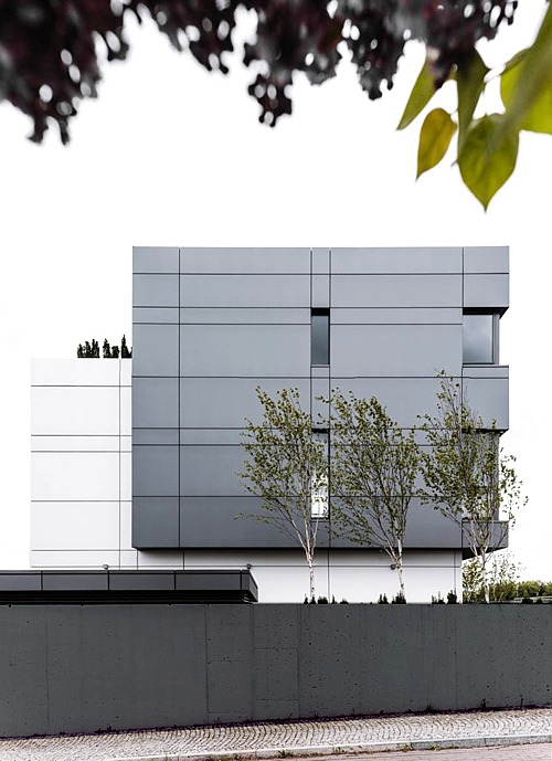 Nowoczesny budynek biurowy z szarymi panelami, trzema młodymi brzozami przed fasadą i betonowym murem w dolnej części kadru, widoczne gałęzie drzew w górnej części zdjęcia.