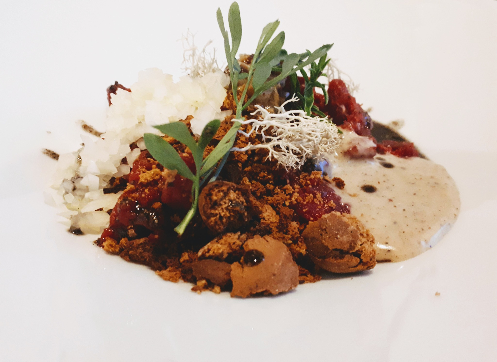 Wykwintna kompozycja na białym talerzu: kruszonka, kuleczki z ciemnego ciasta, białe krystaliczne kawałki, czerwone owoce w glazurze, beżowy sos i gałązki z zielonymi listkami.