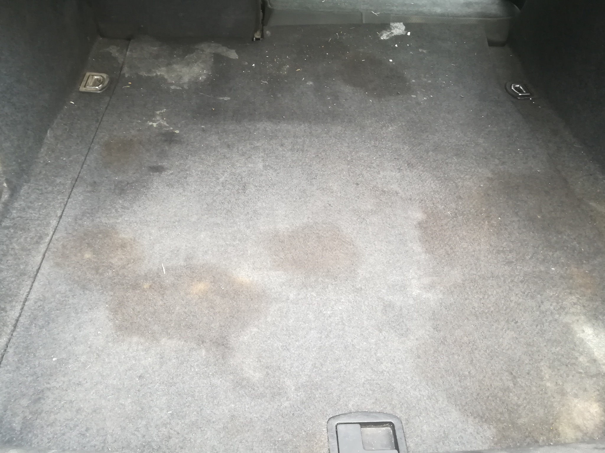Brudna, poplamiona wykładzina w bagażniku samochodu, widoczne ślady po płynach i drobne zanieczyszczenia.
