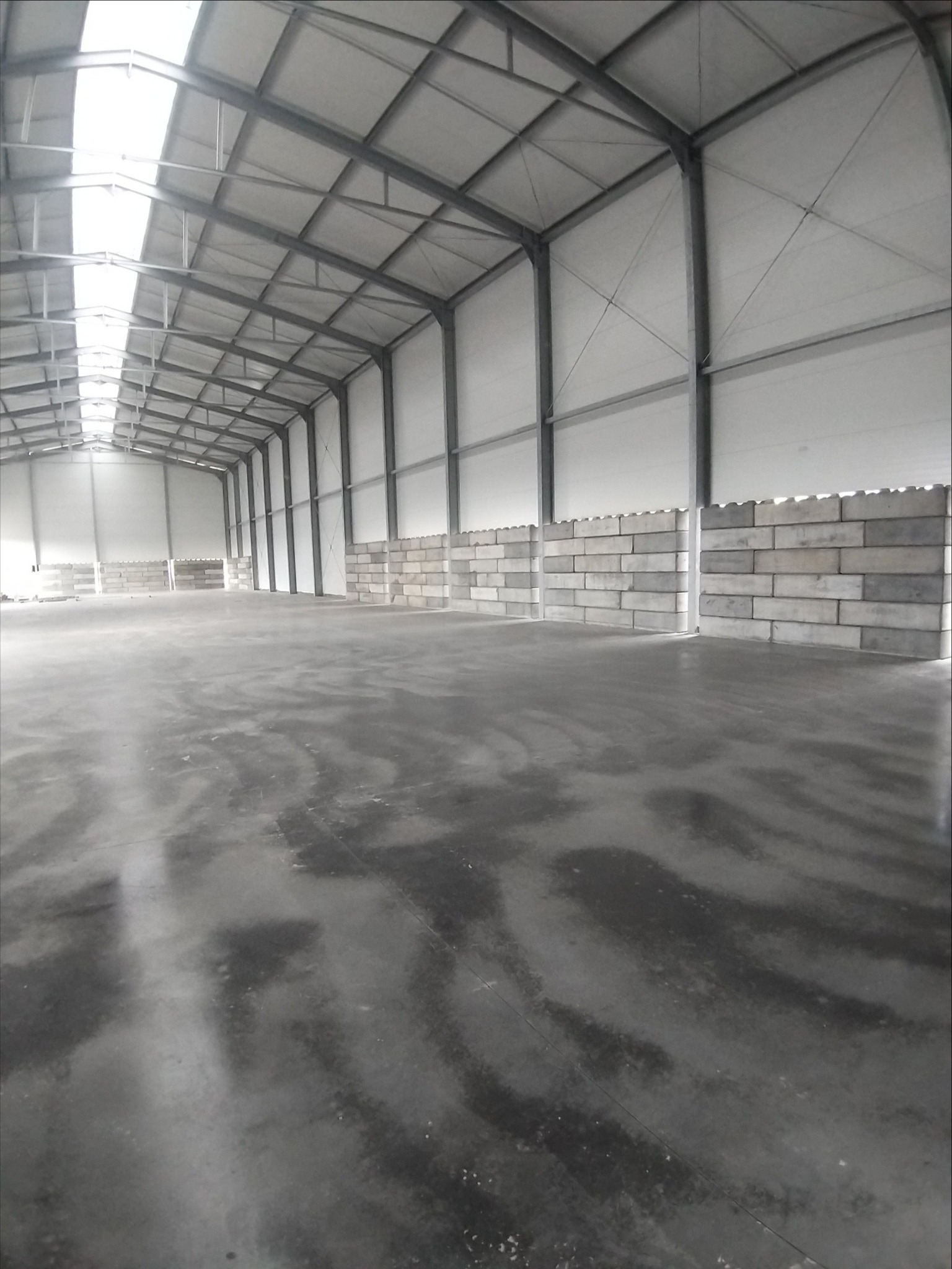 Wnętrze hali z betonową posadzką i częściowo wymurowanymi ścianami z bloczków betonowych, widoczne stalowe elementy konstrukcyjne dachu i świetliki.