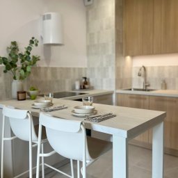 Aranżacja mieszkań Kraków 2