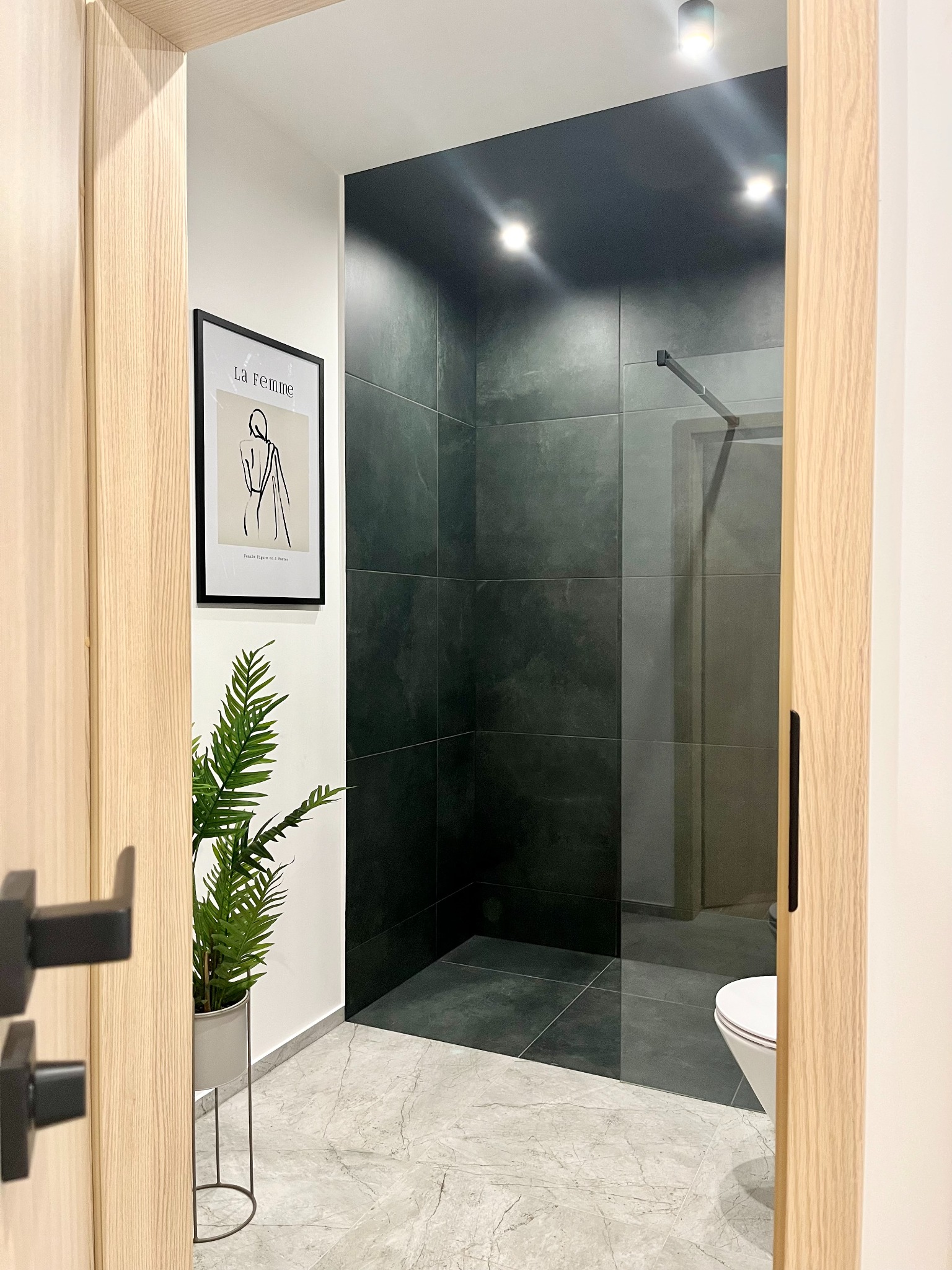 Nowoczesna łazienka z kabiną prysznicową wyłożoną ciemnymi płytkami, marmurowa podłoga, plakat na ścianie i roślina w doniczce widziana przez otwarte drzwi.