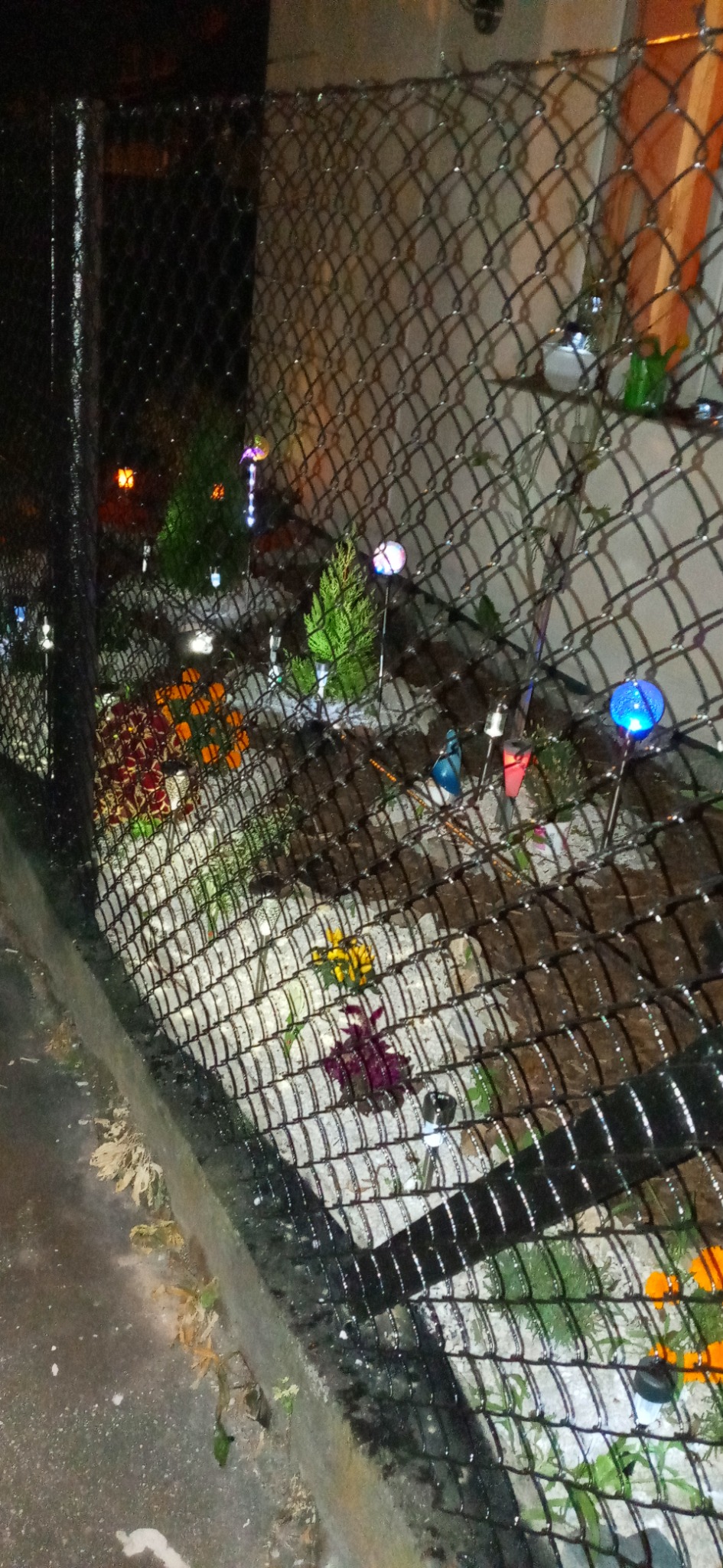 Ogródek z kwiatami i dekoracyjnymi lampkami solarnymi widoczny przez metalową siatkę ogrodzeniową w nocnym oświetleniu.