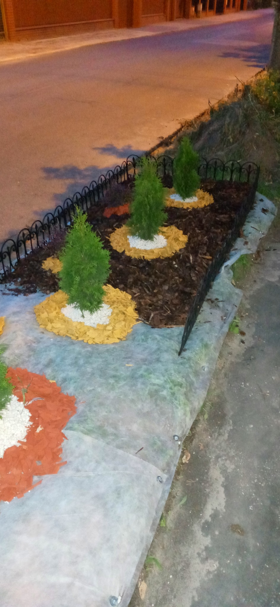 Aranżacja rabatki z tujami otoczonymi korą i białym grysem, wyłożona agrowłókniną, ogrodzona niskim płotkiem, widok z góry.