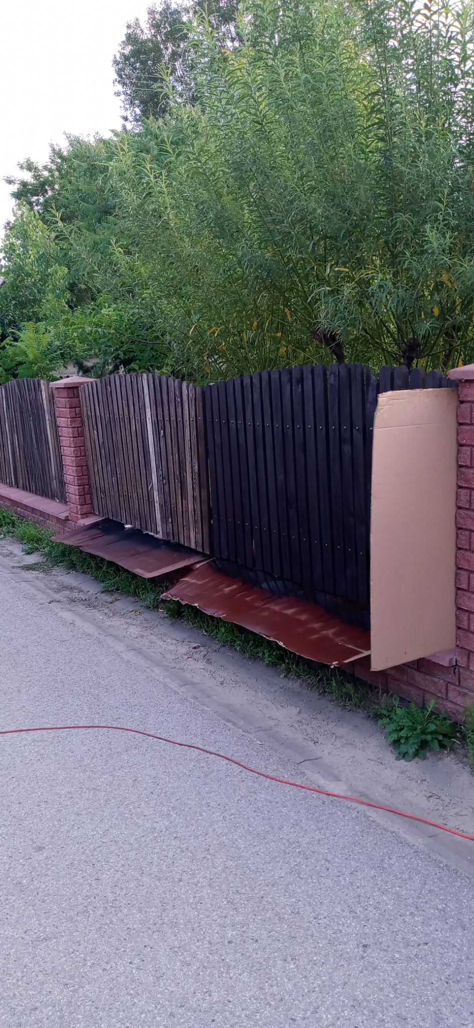 Fragment drewnianego ogrodzenia z ceglanymi słupkami, częściowo pomalowanego na ciemny kolor, z zabezpieczeniami z kartonu i folii malarskiej przy podstawie, widoczne drzewa w tle i czerwony kabel...
