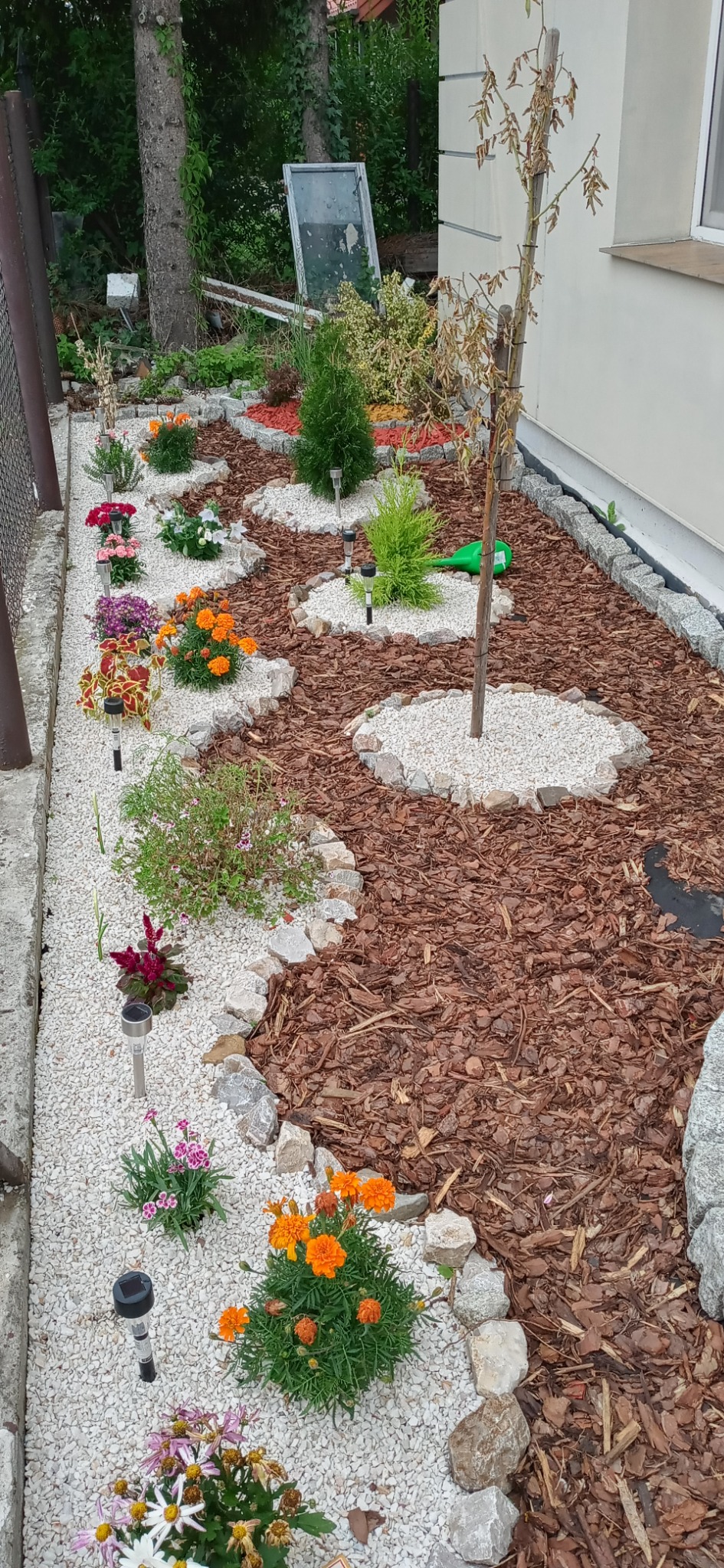 Ogród z rabatami kwiatowymi oddzielonymi kamieniami, wysypany korą i białym grysem, oświetlony lampami solarnymi, z młodym drzewkiem podwiązanym do palika.