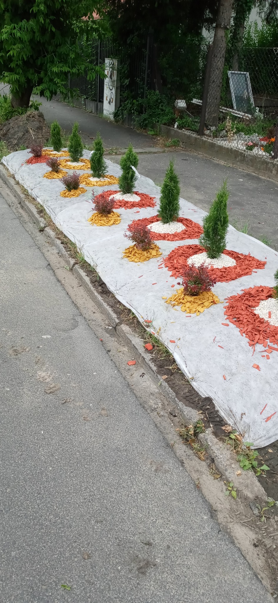 Aranżacja rabaty kwiatowej z niskimi iglakami, krzewami i kolorową korą dekoracyjną na białej agrowłókninie, widok z chodnika.