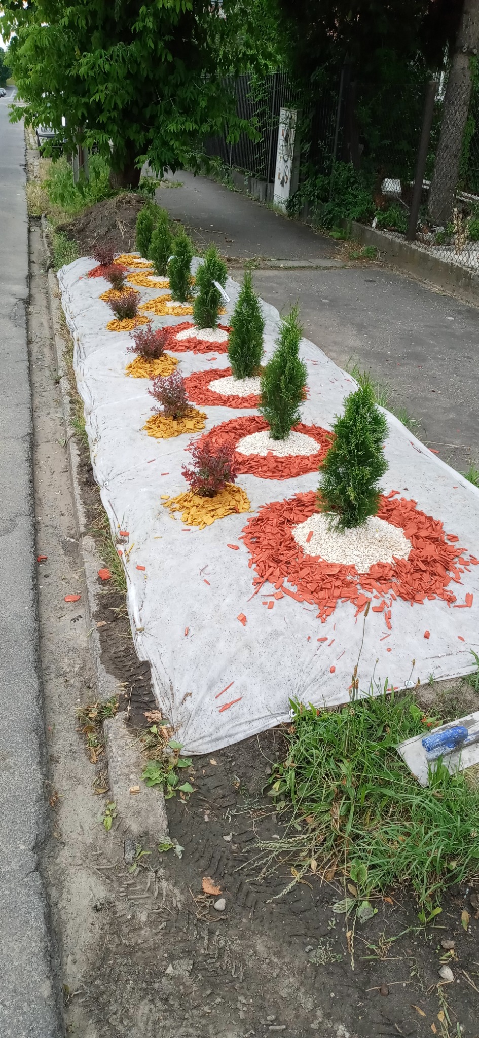 Przygotowany teren pod nasadzenia: rzędy małych drzewek iglastych i krzewów ozdobnych, otoczone kolorowymi zrębkami i białym grysem, całość przykryta białą agrowłókniną, widoczne ślady opon na ziemi.