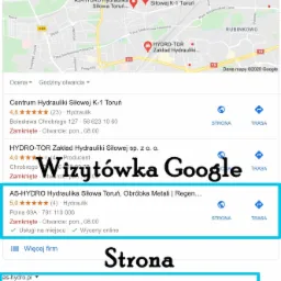 strony internetowe Toruń