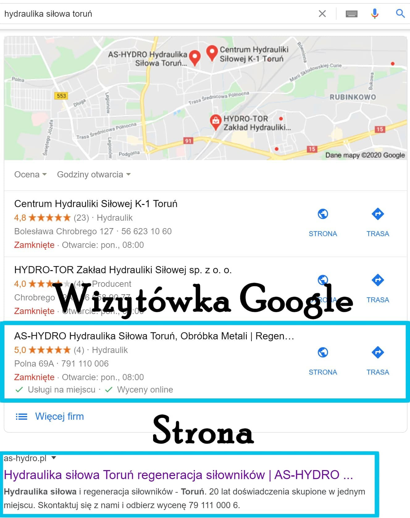 strony internetowe Toruń