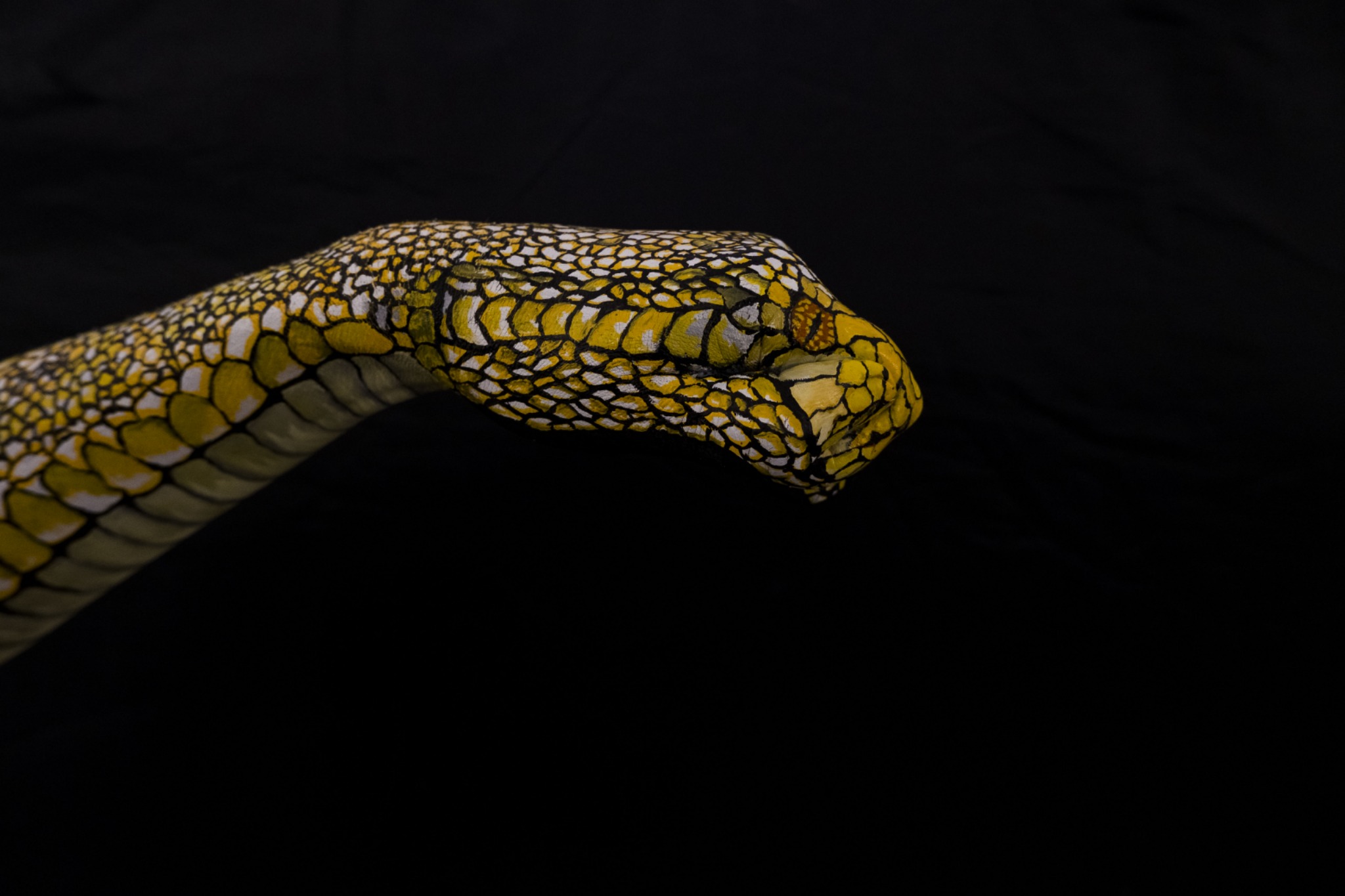 Dłoń pomalowana farbami w motyw żółto-biało-czarnej skóry węża na czarnym tle, imitująca kształt głowy węża.