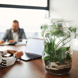 Gardeprofit Sp.z o.o.