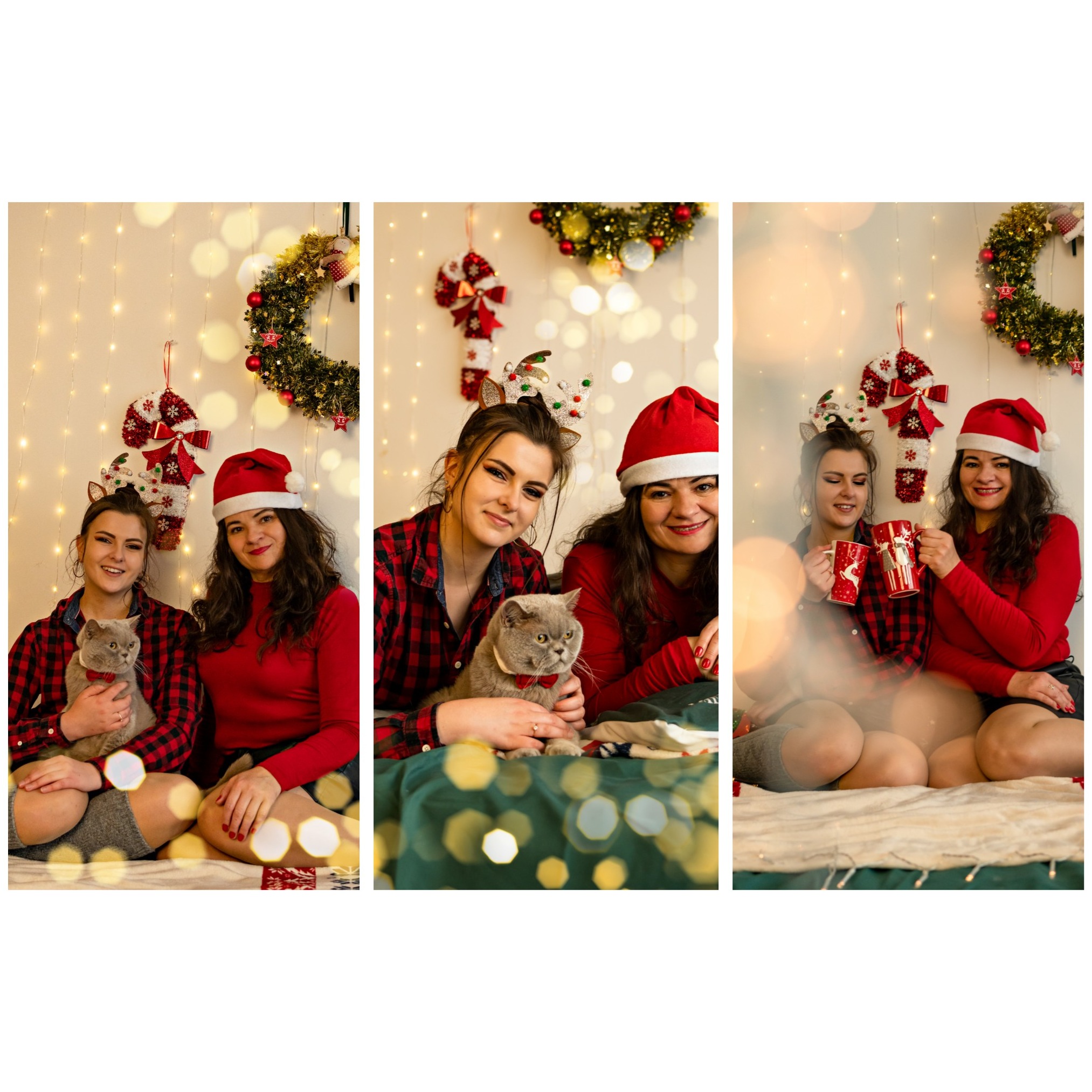 Kolaż z trzema ujęciami dwóch uśmiechniętych kobiet w świątecznych strojach, jedna trzyma szarego kota w czerwonej muszce, w tle świąteczne dekoracje i lampki.