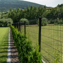 Czarny panelowy płot z podmurówką i nasadzeniami z tui szmaragd na posesji w Limanowej, w tle zielony krajobraz.