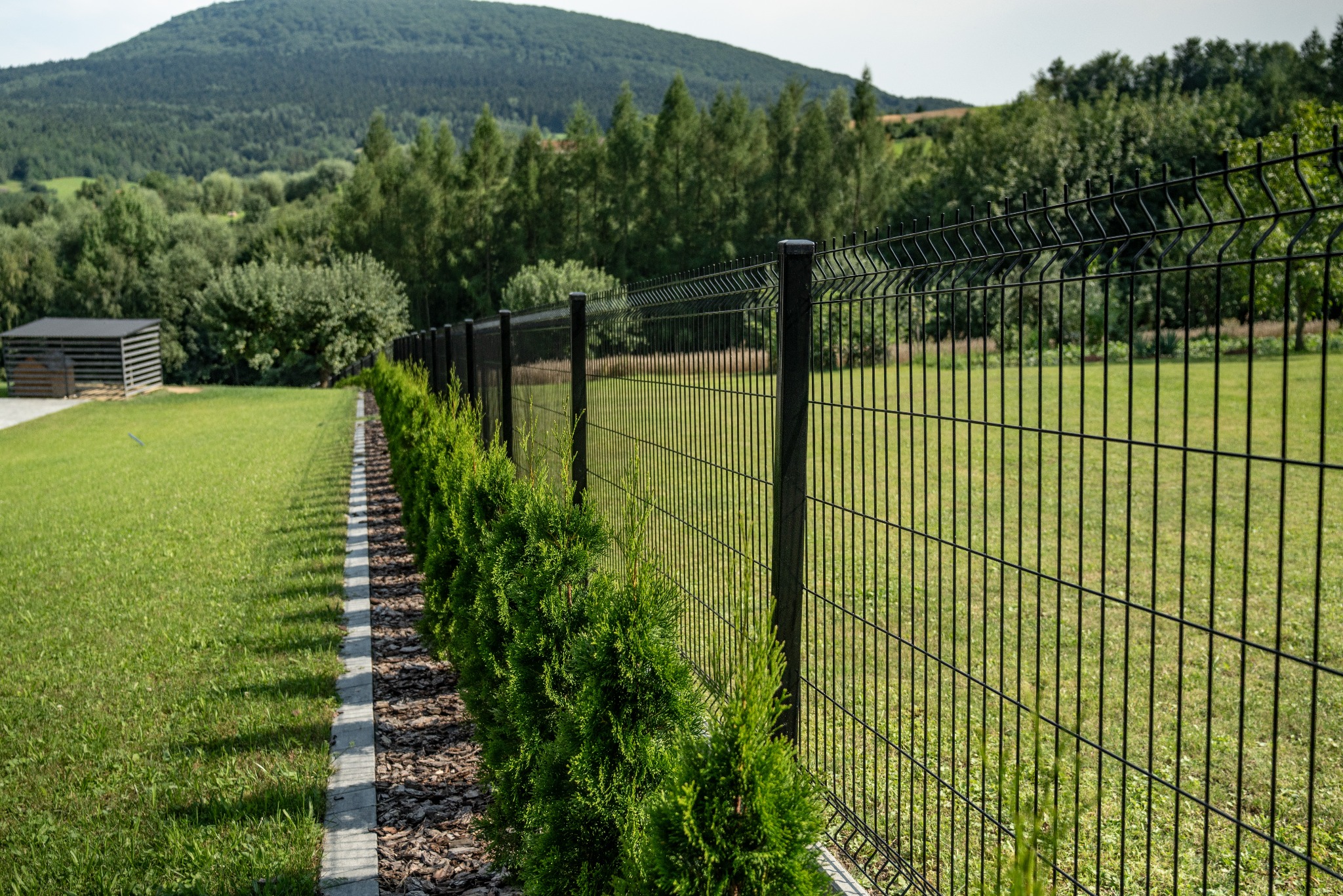 Czarny panelowy płot z podmurówką i nasadzeniami z tui szmaragd na posesji w Limanowej, w tle zielony krajobraz.