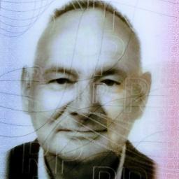 Usługi budowlane - Usugi dzwigi - Roboty Ziemne Reda
